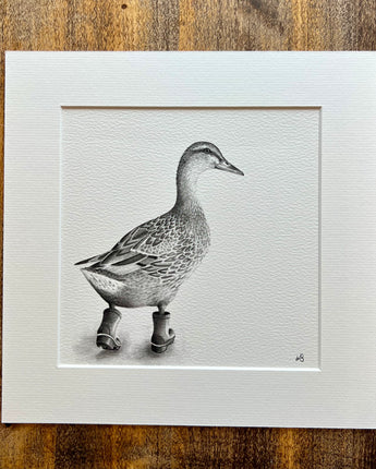 Runaway Duck Mounted Print