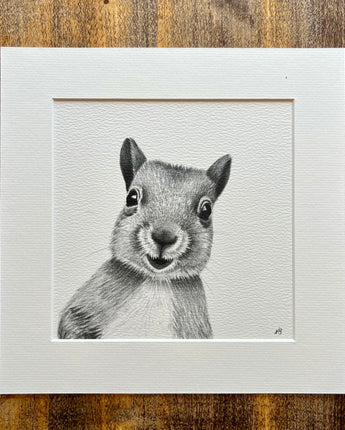 Cheeky Squirrel Mounted Print