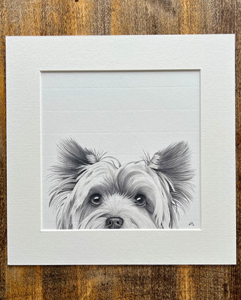 Mabel the Yorkshire Terrier Mounted Print