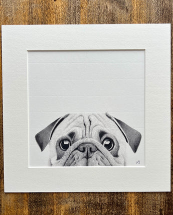 Charlie the Pug Mounted Print