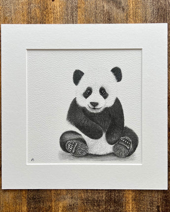 Parker Panda Mounted Print