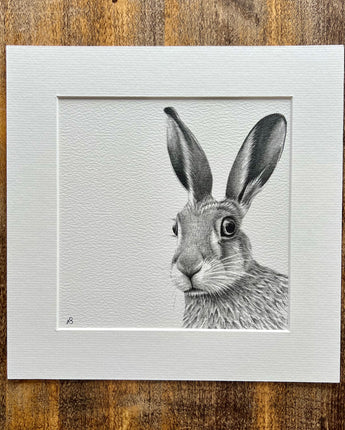 Startled Hare Mounted Print