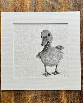 Duckling Mounted Print