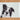 Cookie Collie Glass Chopping Board