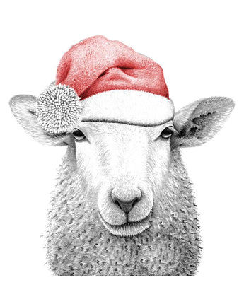 Baaley Sheep Pencil Illustrated Christmas Card