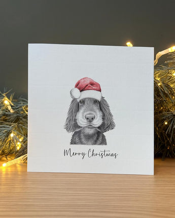 Sonny Spaniel Pencil Illustrated Christmas Card