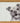 Luna Staffy Bull Terrier Glass Chopping Board