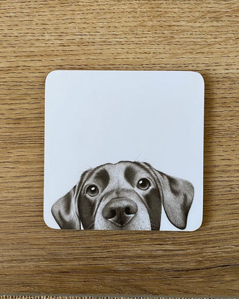 Lenny Labrador Coaster