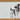Moley Jack Russell Glass Chopping Board