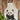 Panda Apron