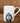 Sonny Spaniel Fine Bone China Kids Mug