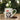 Christmas Sonny Spaniel Fine Bone China Espresso Cup