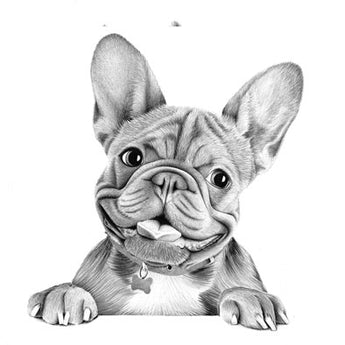 Stanley Frenchie Pencil Drawn Greeting Card