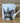 Skittle Squirrel Fine Bone China Mug