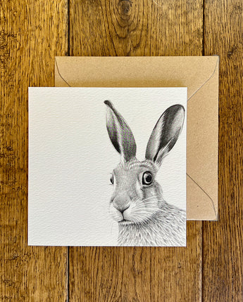 Hare Startled Pencil Illustrated Greeting Card