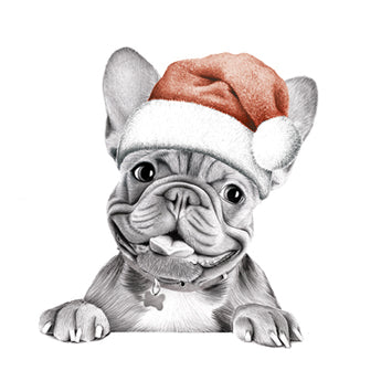 Stanley Frenchie Pencil Drawn Christmas Card