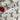 Harry Hare Luxury Gift Wrap Paper
