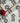 Sidney Sausage Dog Luxury Gift Wrap Paper
