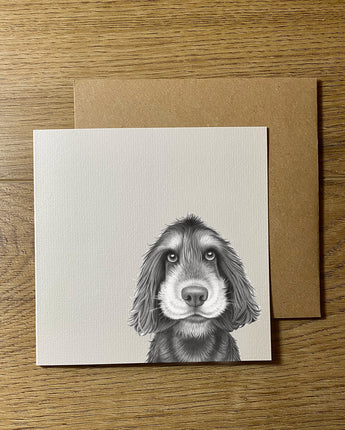 Sonny Spaniel Greeting Card
